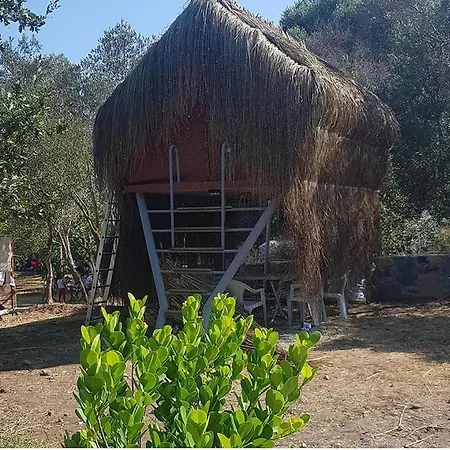Bodrum Masali Campingplads *
