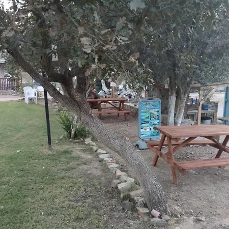 Bodrum Masali 古穆斯卢克