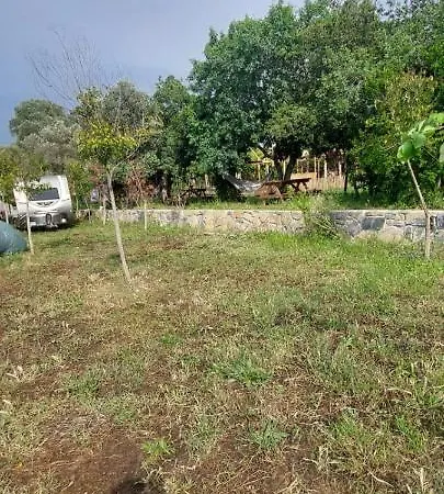 Bodrum Masali אתר קמפינג *