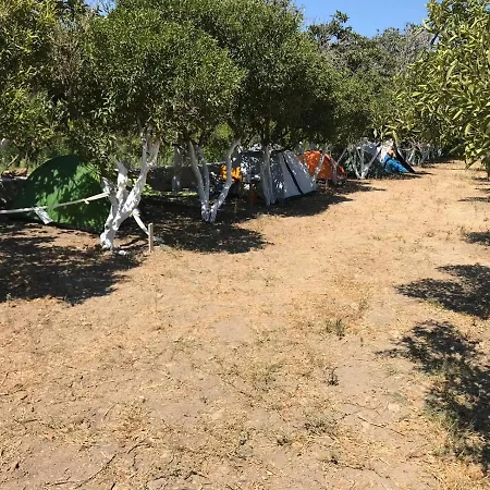 Bodrum Masali 古穆斯卢克