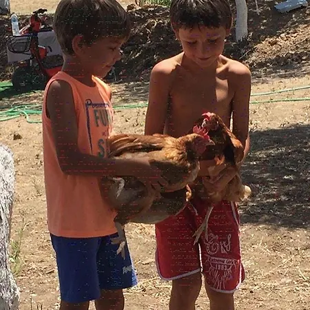 Bodrum Masali 古穆斯卢克