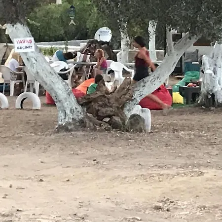 Bodrum Masali אתר קמפינג גומושלוק