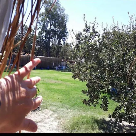 Campsite Bodrum Masali Gumusluk