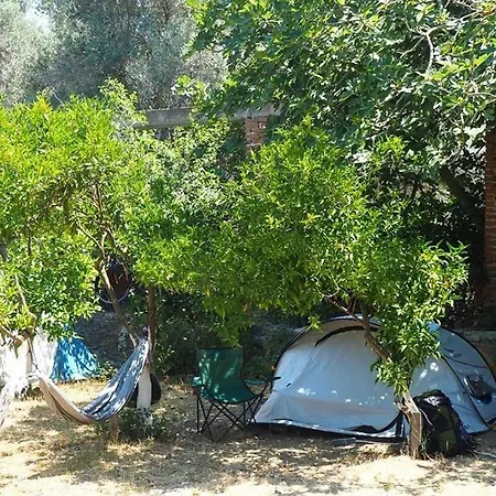 Bodrum Masali *