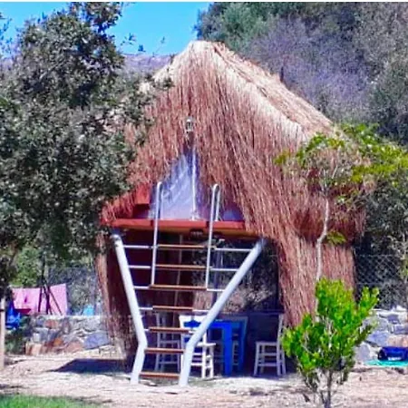 Bodrum Masali