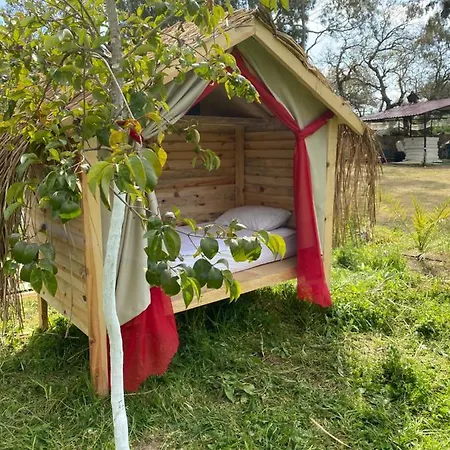 Bodrum Masali Campsite