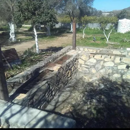 Bodrum Masali Gumusluk