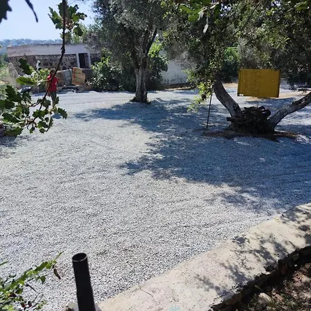 Bodrum Masali