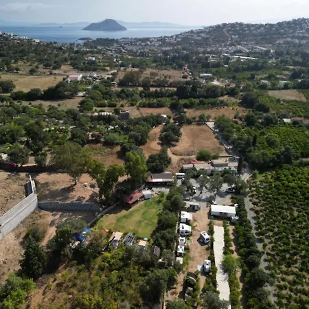 Bodrum Masali Gumusluk