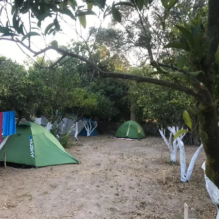 Bodrum Masali Parque de Campismo Gümüşlük
